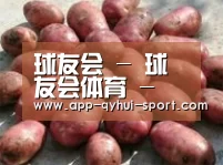 产品展示标题5