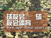种植基地七
